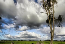 兰博电竞官网：马修-瑞安：希望客战中国时保持连胜；我们还可以踢得更好.