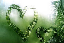 兰博电竞官网：天津女排获得世俱杯亚军央视体育.